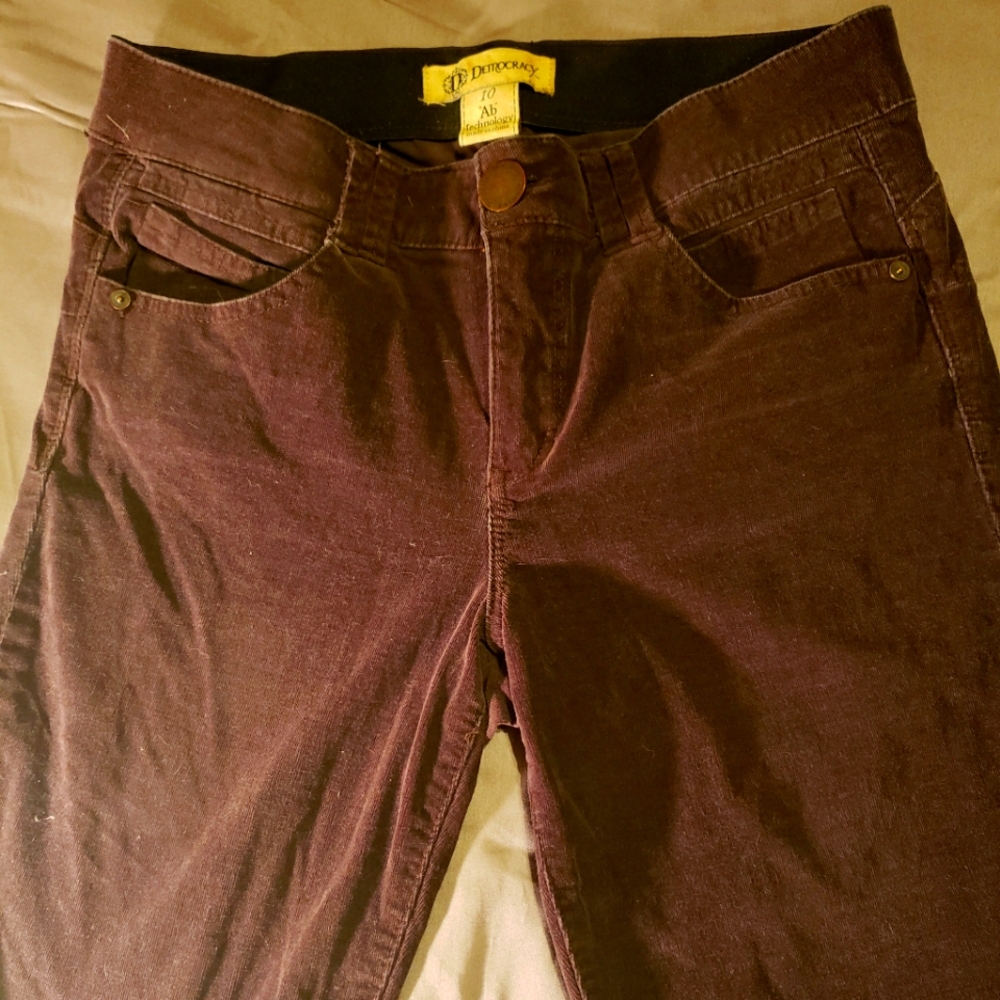 Democracy purple corduroy skinny pants size 10. Ab control.